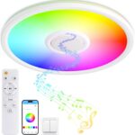 RGB LED Ceiling Light, with Bluetooth Speaker, 24W 11Inch Smart Music Ceiling Lamp with App and Remote Control, 3000K-6500K Color Changing Lights Fixture for Child Bedroom Bathroom, White