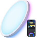 Govee Smart Ceiling Light, RGBIC LED Ceiling Light Fixture, 2400LM Flush Mount Light Fixture, DIY Colors, Works with Alexa, 2200K-6500K Ceiling Lights for Bedroom, Living Room, 12 Inch, 1 Pack