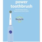 Amazon Basics Power Rechargeable Toothbrush with EasyFlex Brush Heads, Bacteria Defense and Replace-Me Bristles, 2-Minute Quadrant Timer
