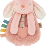Itzy Ritzy – Itzy Lovey Including Teether – Baby Lovey with Teether, Textured Ribbons & Dangle Arms – Features Crinkle Sound, Sherpa Fabric and Minky Plush (Pink Bunny)