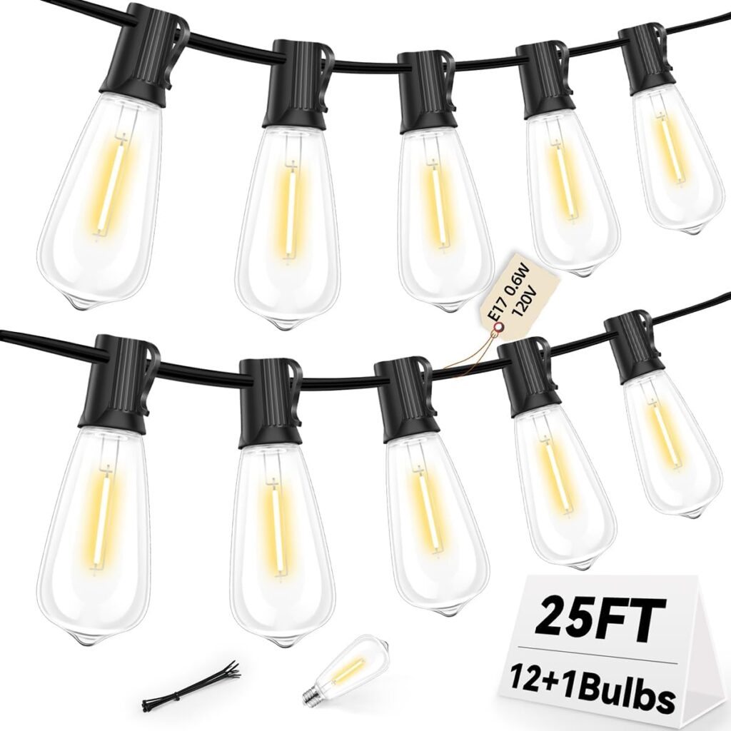 ST40 25FT Outdoor LED String Lights with 12+1 Shatterproof Bulbs,E17 Socket, 2700K Warm White,Weatherproof, 0.6W LED,for Patio,Porch, Deck,Gazebo,Bistro,Garden,Wedding,Party Decor
