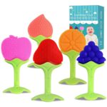 5 PCS Baby Teething Toys, Bagvhandbagro Soft Fruit Teething Toys for Babies Over 3 Months, Silicone Baby Teethers Stick Freezer Safe for Infants and Toddlers
