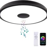 Black Smart Waterproof LED Flush Mount Ceiling Light Fixture,18W,with Bluetooth Speaker,RGB Color Changing Function-Dimmable Lamp,Tuya Application Control-Compatible with Alexa Google Home