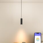 LED Spotlight Pendant Downlight Lamp Head, 24V Magnetic Track Lighting Pendans Light, 7W LED Lamp,Smart Control via App, Remote & Voice, Dimmable & CCT 2700K-6000K, Beam Angle 24°