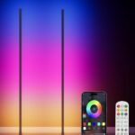 2PCS RGB Floor Lamp, Bluetooth APP and Remote Control 65″ Smart Modern Standing Lamp Music Sync 16 Million DIY Colors Changing LED Floor Lamp with Heavy Base