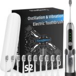 Adult Sonic Electric Toothbrush with 10 Brush Heads, Travel case, and Wall Bracket, Suitable for Both Adults and Children, IPX8 Waterproof, USB Charging, 42000VPM, Silver
