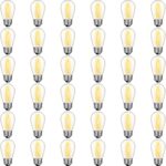 36 Pack S14 LED Bulbs for Outdoor String Lights, Shatterproof Replacement Edison Bulbs for Patio String Lights Outdoor Waterproof, Warm White 2200K, Dimmable, E26 Standard Base