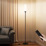 Ambimall LED Floor Lamp with Remote Control, 65″ Standing Lamp with Stepless Adjustable 3000K-6500K Colors & 5%-100% Brightness, Foot Switch(Black)