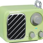 Vintage Style White Noise Machine with 16 Soothing Sounds – Portable Sleep Sound Device with Timer & Adjustable Volume for Baby, Kids, Adults, Travel & Office (Sprout Green, Portable)