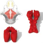 Trapezius Trigger Point Massager, Myofasical Release Neck and Shoulder Pain, Suboccipital Release Tool, Posture Corrector, Relieve Upper Back Pain &Tension Headache