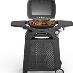 MASTER COOK Single Burner Propane Gas Grill, 11,500 BTU Portable Tabletop Barbecue Grill with Cart for Patio, Camping, Travel