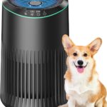 Air Purifiers for Bedroom Home, Air Purifier for Smoke Odors with Fragrance Sponge, Small Air Purifier with Sleep Mode for Bedroom Office, Blue Night Light, Black, 1 Pack+3 Modes