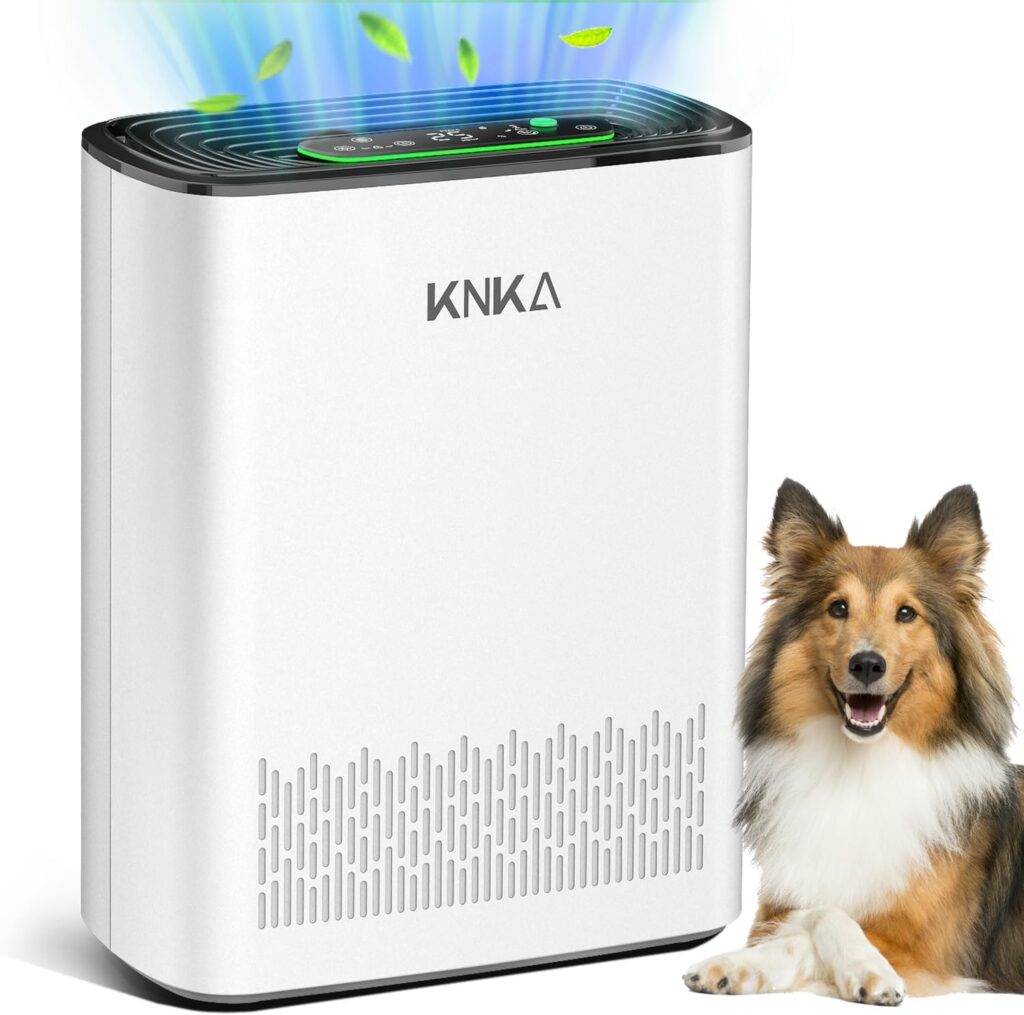 KNKA Air Purifiers for Home Large Room Bedroom Up to 2325 Ft², Washable Filters, Air Quality Monitor, Turbo Mode, Auto & Sleep Modes, HEPA Air Cleaner for Smoke, Dust, Pet Hair, Pollen (APH3000)