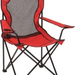 Coleman Broadband Mesh Quad Camping Chair with Carry Bag & Cup Holder, Cooling Mesh Back with Adjustable Arms, Great for Camping, Tailgating, Firepits, Patio, & More