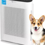 Air Purifier for Home Allergies & Pets | 4-in-1 H13 True HEPA Filter/Ionizer/Carbon + UV Light | Portable Air Purifiers for Large Room & Bedroom Odor Elimination – InvisiClean Aura II