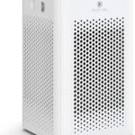 Medify MA-25 Air Purifier with True HEPA H13 Filter | 825 ft² Coverage in 1hr for Allergens, Smoke, Wildfires, Odors, Pollen, Pet Dander | Removal to 0.1 Microns | White, 1-Pack