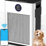 FRESHDEW Air Purifier for Home Up to 2300ft² With H14 True HEPA Smart WiFi Control & Double-Sided Intake | 22dB Ultra Quiet for Bedroom/Pet Homes | Removes Smoke, Odors, Pollen, Dust, Dander